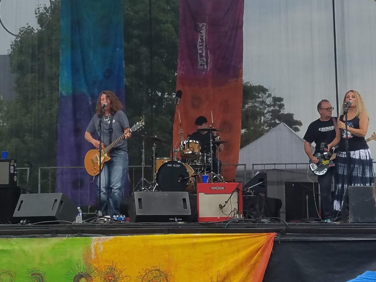 Elmwood Avenue Festival of the Arts